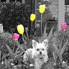 SmugMug > all-time keyword > max > just holidays without editing photo