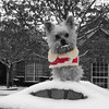 SmugMug > all-time keyword > max > just holidays without editing photo